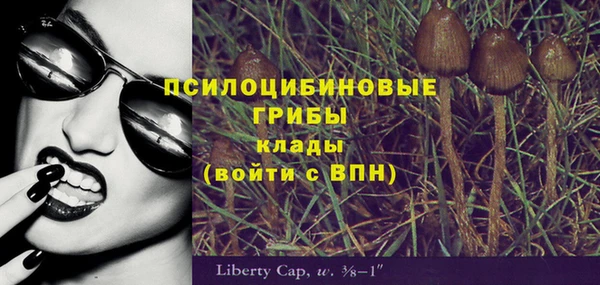 крисы Алексеевка