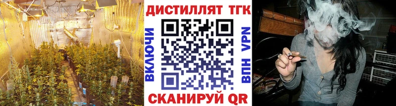 mega онион Новоалтайск ТГК вейп